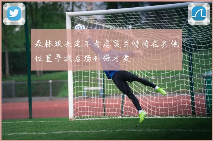森林狼决定不考虑莫兰特将在其他位置寻找后场补强方案