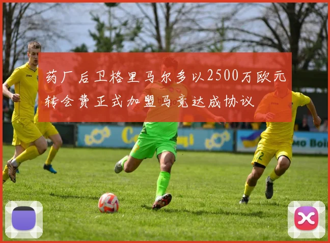 药厂后卫格里马尔多以2500万欧元转会费正式加盟马竞达成协议